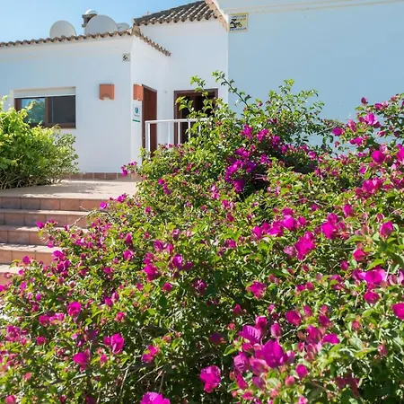 Violeta * Benalup-Casas Viejas
